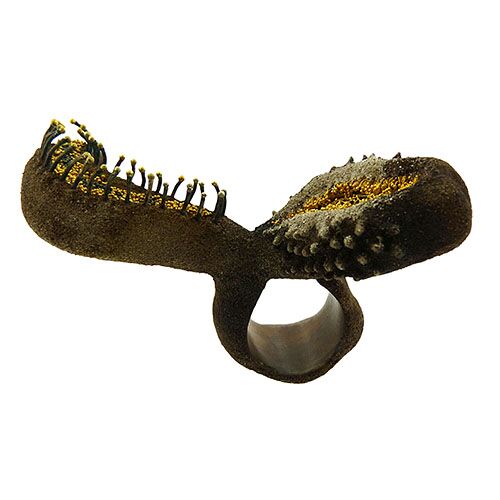 Eel Ring - Image 3