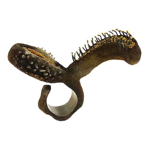Eel Ring - Image 2